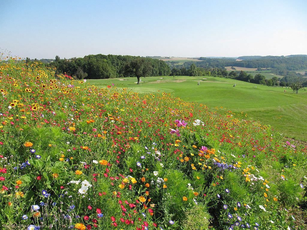 Golfclub Bruchsal e.V.