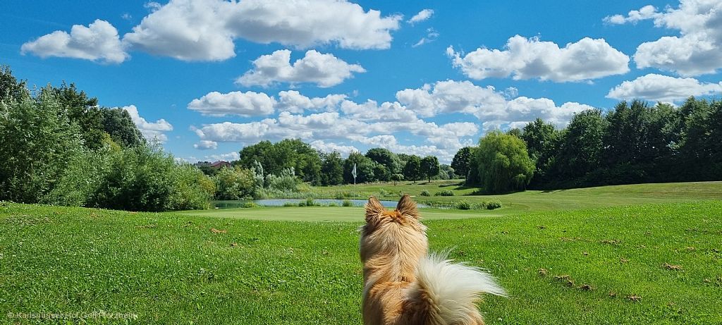 Karlshäuser Hof Golf Pforzheim